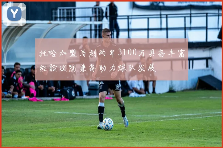 托哈加盟马刺两年3100万具备丰富经验攻防兼备助力球队发展
