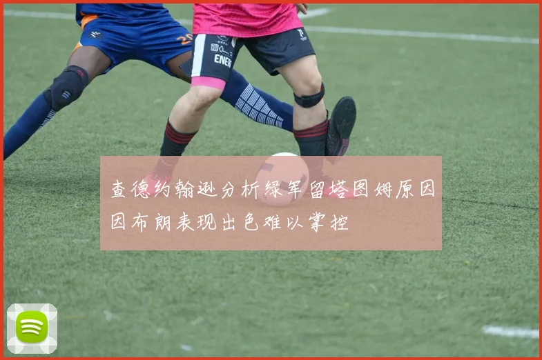 查德约翰逊分析绿军留塔图姆原因因布朗表现出色难以掌控